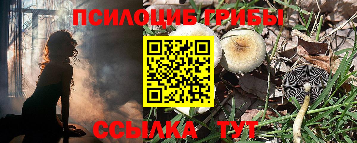 Уссурийск  купить наркотик  Вход с VPN  Галлюциногенные грибы Psilocybine cubensis 